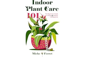 Indoor Plant Care 101: The Beginner's Guide to Happy & Healthy Houseplants