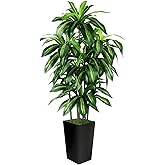 Artificial Dracaena Tree Indoor, 5FT Tall Fake Tree with Black Tall Planter, Artificial Trees Fake Yucca Potted Tree for Home Office Living Room Decor, Tall Artificial Plant for Housewarming