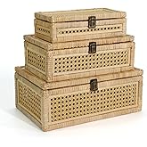 Boho Rattan Display Boxes with Rattan Lids, 3 Pcs Large Natural Handwoven Cane Basket, Home Decor Organizers Storage Bins, Na