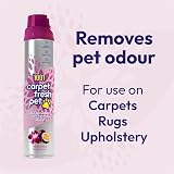 1001 Carpet Fresh Thai Orchid & Passionfruit 300ml view 2