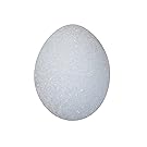 FloraCraft Styrofoam Eggs, 3 1/6-Inch-by-2 5/16-Inch White Egg,  Duck, 4 Per Package