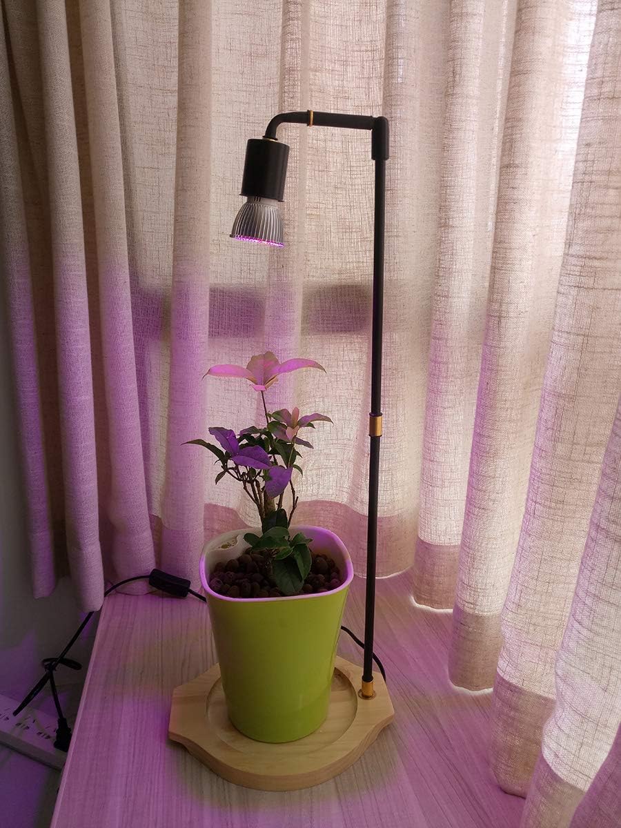 tabletop plant light