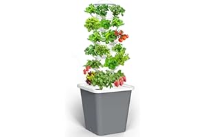 LYCereal Hydroponics Growing System, 30-Plant Indoor Hydroponic Tower with Timer and Pump System, Plants Germination Kit, Vertical Hydroponic System for Gardening Lover (No Seed)