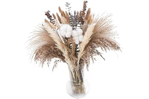 80pcs Dried Flower Assortment Natural Pampas Grass Home Decoration for Shelf Tabletop Arrangements Dried Flower Bouquet