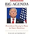 Big Agenda: President Trumps Plan to Save America