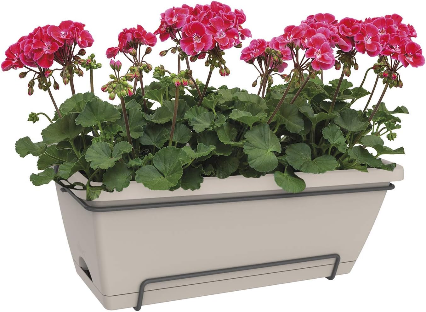 elho Barcelona Xl Allin1 55 - Planter for Balcony & Outdoor - Ø 54.5 x H 23.0 cm - Brown/Taupe - Image 5