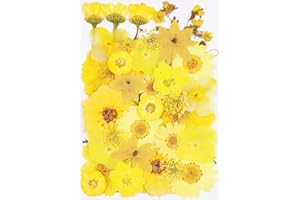 40Pcs Yellow Dried Pressed Flowers for Crafts,Xinxinran Dry Flowers Kit for Resin Molds,Epoxy Resin Accessories,Bookmark,Nails, Jewelry Molds,Candle Making Supplies,Soap,Frame,Cakes