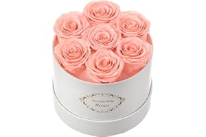 Beaulasting Roses Preserved Roses in a Box Long Lasting Roses Last a Year Forever Romantic Gifts for Her Mother's Day Valentine's Day Anniversary Birthday (Round White Box, 7 Champagne Roses)
