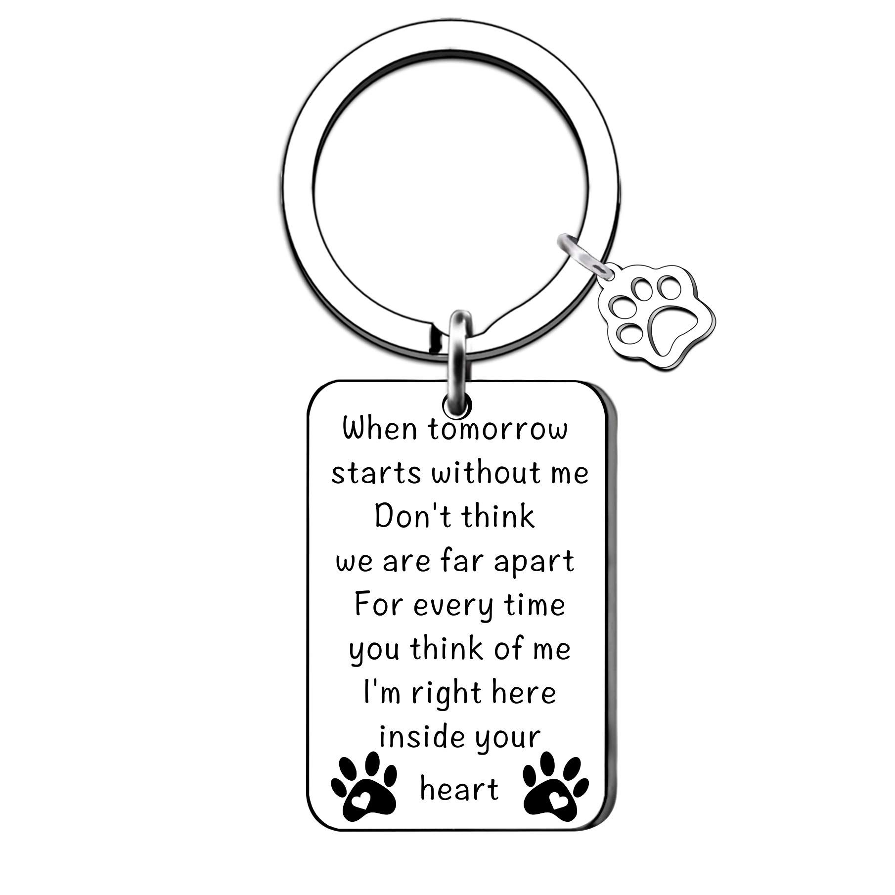 QMVMV Loss of Pet Memorial Keychain for Dog Cat Pet Lovers, Unisex-Adults, Metallic Silver
