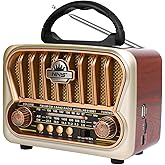 T.TAOMI Portable AM FM Radios, Transistor Shortwave Radio Retro Vintage Radios with Loud Speakers, Support USB Power (Champagne Gold)