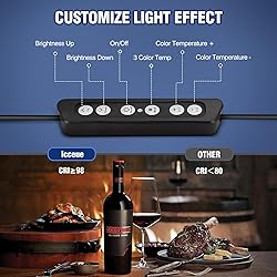 2 Pack LED Video Light Kit with Barn Door, Icceue