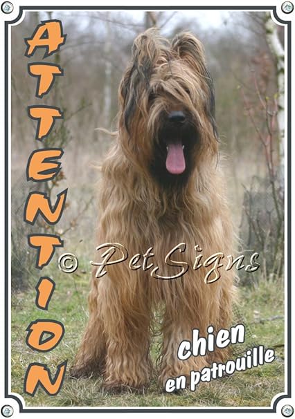 Panneau Attention Briard Berger De Brie Plaque
