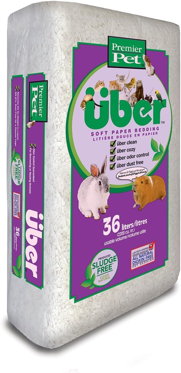 siberian husky x border collie