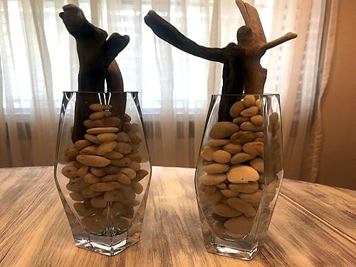 Amazon Com Lake Erie Stones Beach Wedding Driftwood Decor