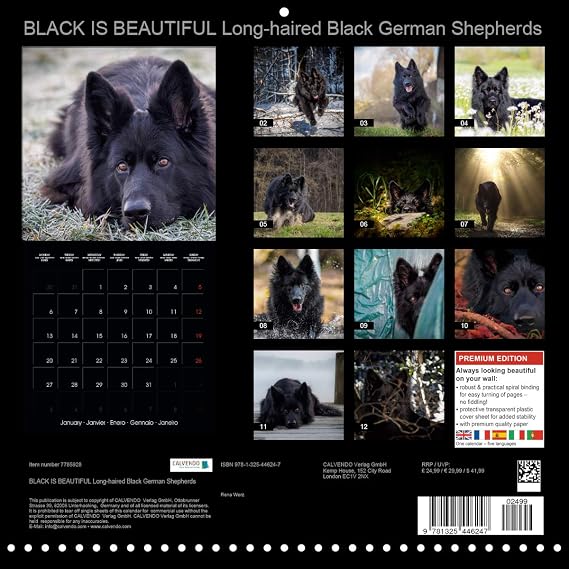 Black Is Beautiful Long Haired Black German Shepherds Wall