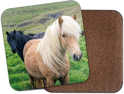 Amazon Co Jp かわいいポニーコースター ポニー馬ダートムーアの女の子のママ娘クールギフト ホーム キッチン