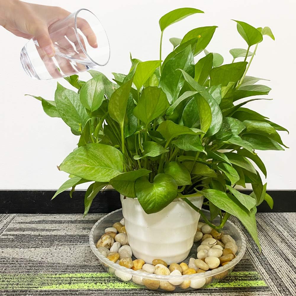 JOYSEUS Plant Saucers - 12 inch - Durable Plastic Plant Tray for Flower Pots, Clear Plant Saucer for Indoor Plants Pots & Outdoor Plants (4 Pack) : Garden & Outdoor