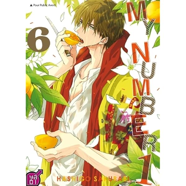 My number 1, t. 03: Sakurabi, Hashigo: 9782375060629: Books