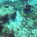 Review Image by Ashley Bradshaw Ashley Bradshaw