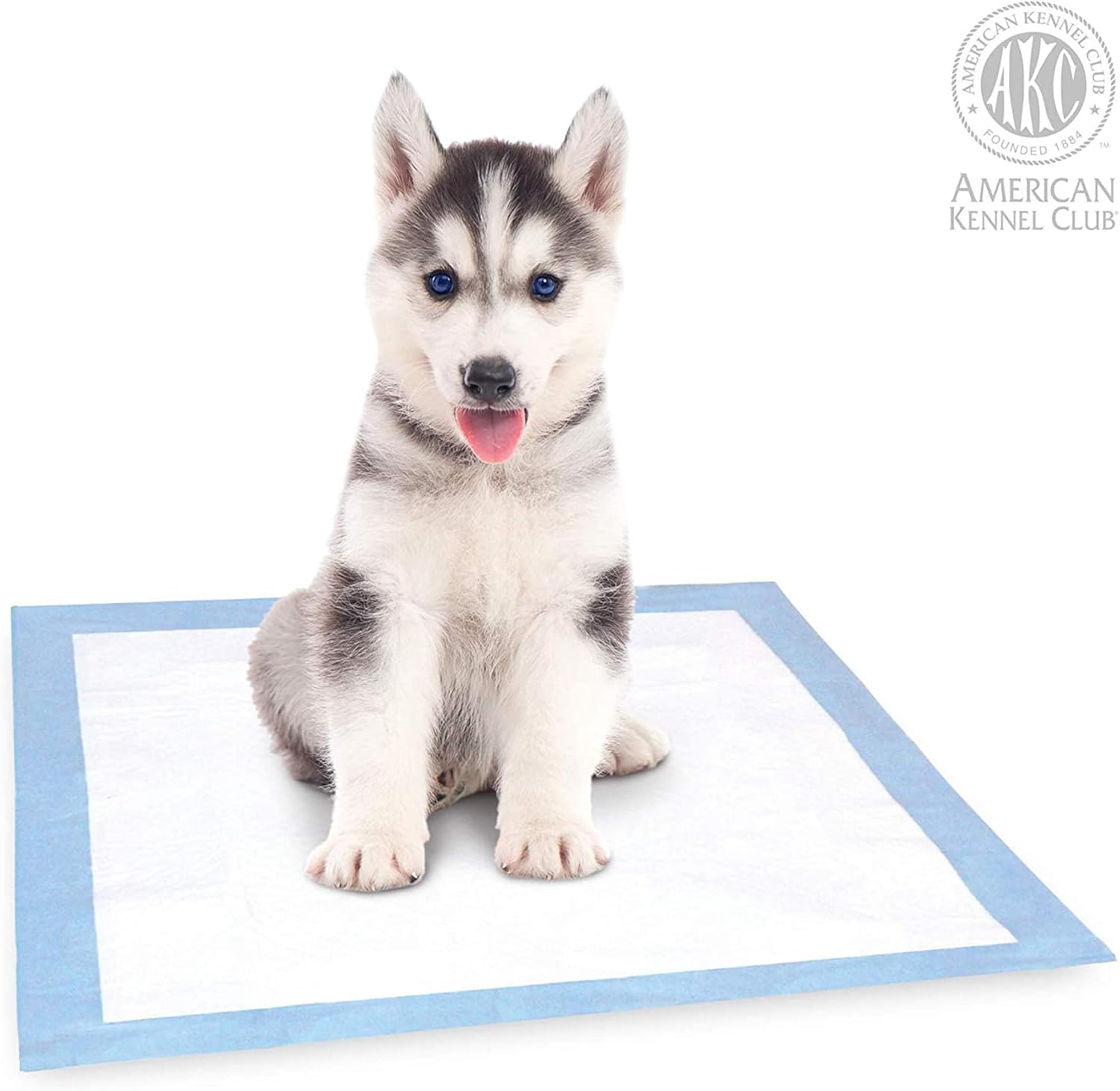 AKC Training Pads, 100-Pack : Pet Training Pads : Pet Supplies