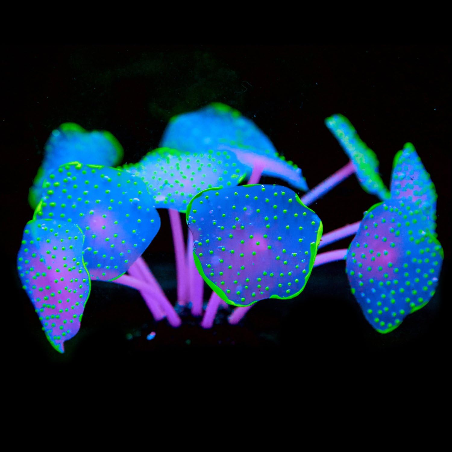 Uniclife Coral Plant Decorations Glowing Artificial Ornament for Fish Tank Aquarium Green, Ball shape