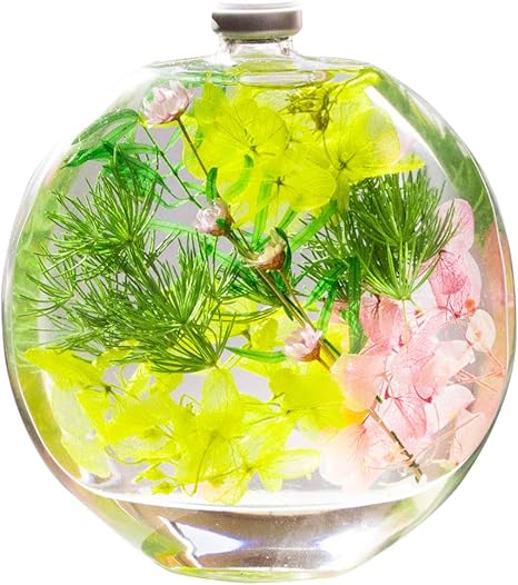 Amazon 風味絶佳 山陰 母の日 プレゼント ギフト ランキング 人気 花 ハーバリウム Emarih えまり グリーン プリザーブドフラワー オンライン通販