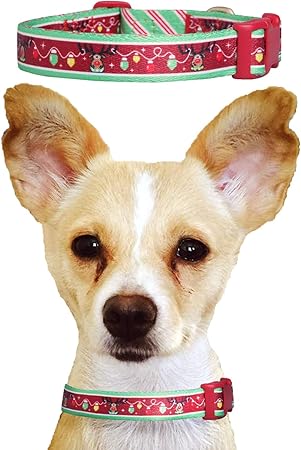 christmas dog collars amazon