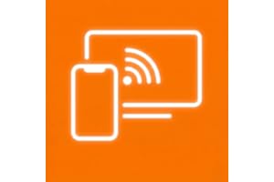 Web Video Cast Receiver