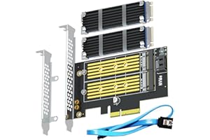 GLOTRENDS PA12-HS M.2 PCIe Adapter for One M.2 NVMe SSD and One M.2 SATA SSD, Including 2 Sets of Heatsink Kits
