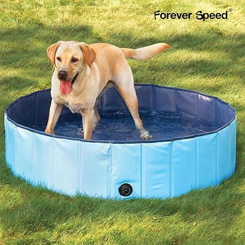 dog pool amazon ca