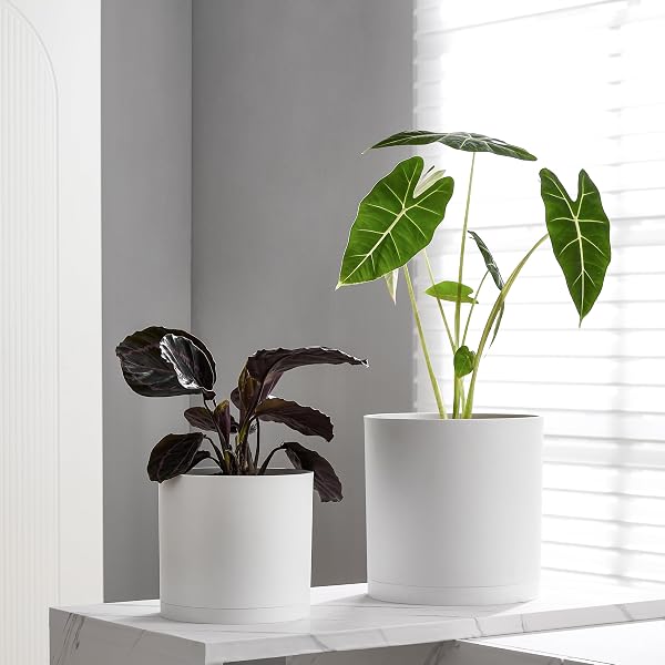 FAITHLAND 8-INCH MODERN CYLINDER PLANTER, THICK-WALLED PLASTIC PLANT POT WITH DRAINAGE HOLES AND DETACHABLE SAUCER, MATTE WHITE, IDEAL FOR INDOOR & OUTDOOR PLANTS FLOWERS