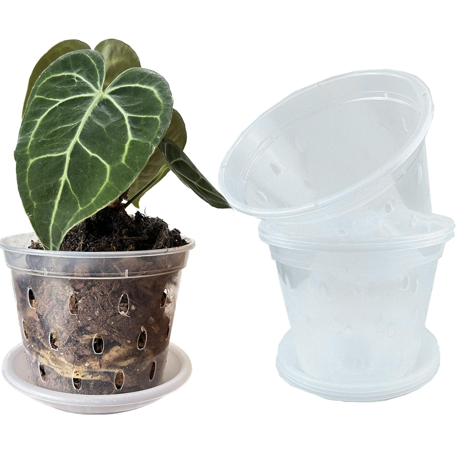 Meboem 11cm Clear Plants Pots Flower Pots with Holes and Saucers For Tropical plant Orchid Anthurium Clarinervium Monstera (5, 11cm with saucers)