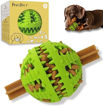 PawsOnly Interactive Treat Dispenser Ball Small Green Dog Toy