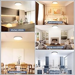 NIORSUN 12 inch Flush Mount LED Ceiling Light