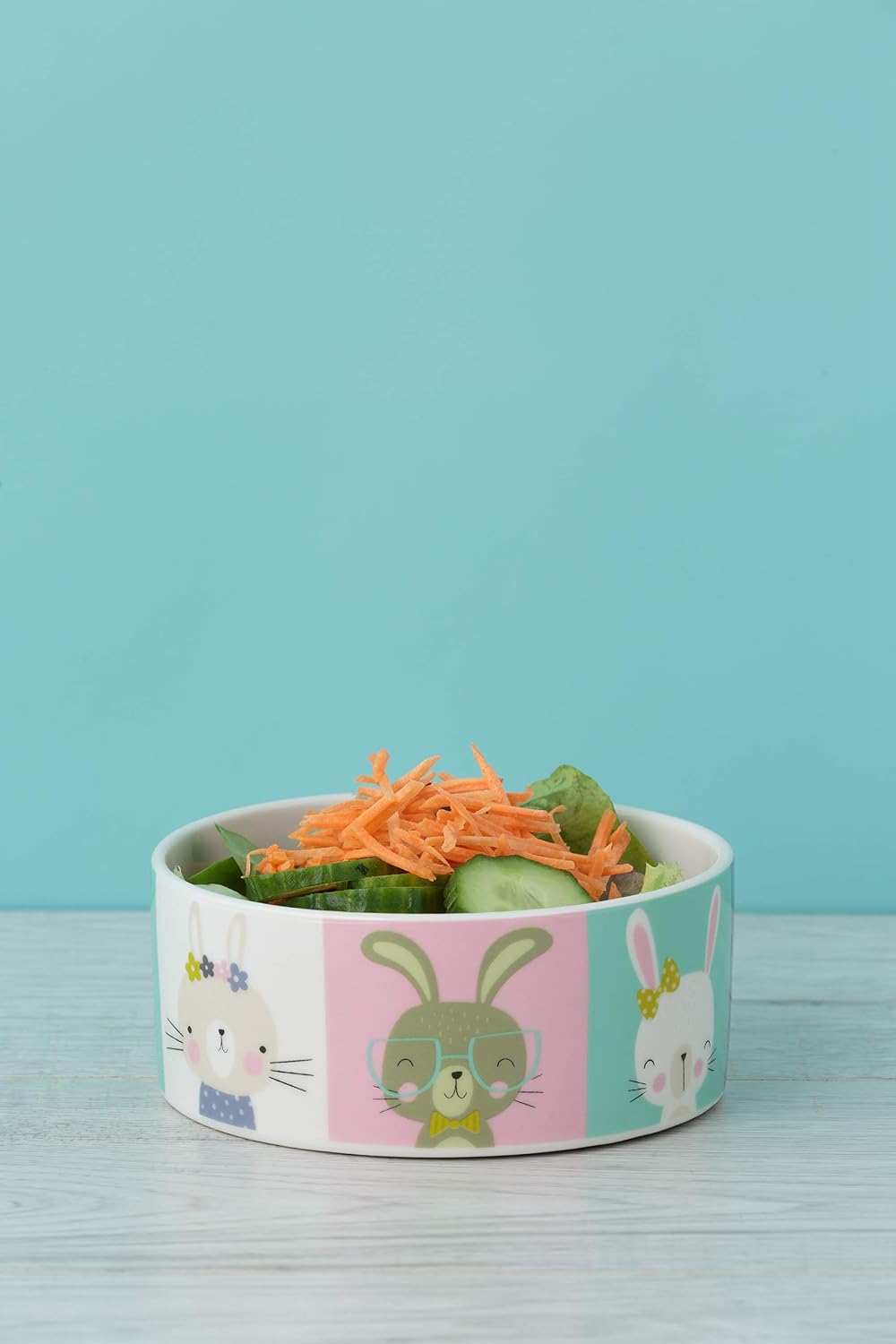 Mason Cash Pawtrait Rabbit Bowl 12x5cm, One Size – BigaMart