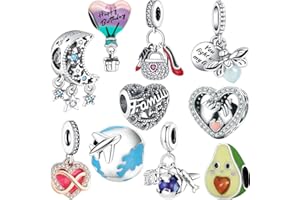 Winraro 10 Pack Silver Bead Charms Compatible with Charms Bracelet Necklace, 925 Sterling Silver Charms for Bracelets for Women, the Pendant Dangle Beads with Cubic Zirconias Are the Perfect Jewelry Gift for Women, Ideal for Christmas, Birthdays, Mother's Day, and Valentine's Day.