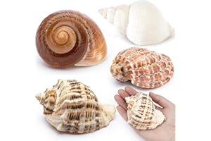 Deauepu® Premium Hermit Crab Shells 4PCS (4 Types) | Good for Large Hermit Crabs | Opening Size: 1.5"-2.5", Seashell Size: 3"-3.5" | Hermit Crab House for Décor | No Paint or Dye