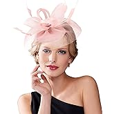 Dodheah Fascinators Hat for Women Tea Party Derby Hats Pillbox Hat Flower Feathers Wedding Headwear with Headband Hair Clip
