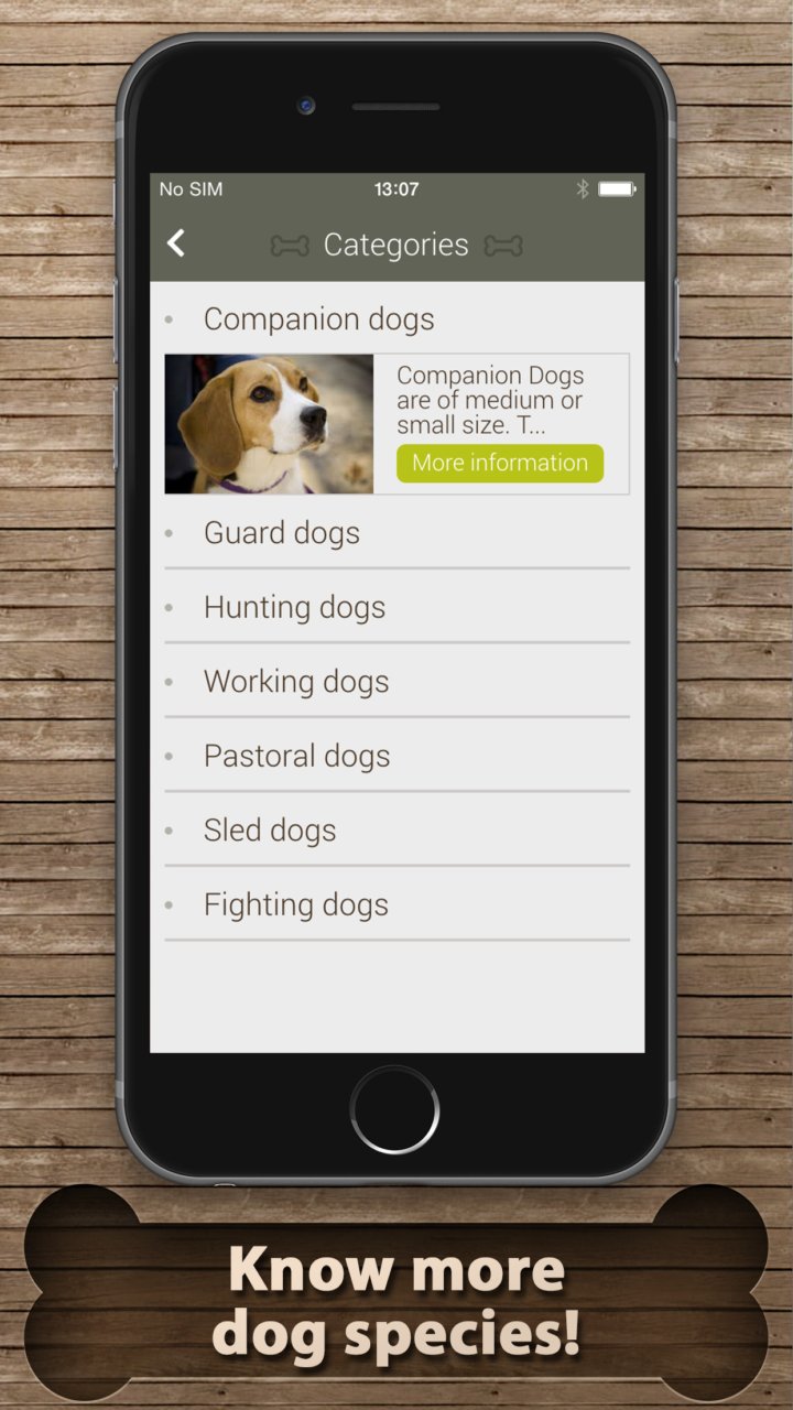 101 Dogs