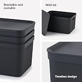 Rotho Jive Dekobox Set of 3 5l Lidded Storage Boxes White/Anthracite view 6