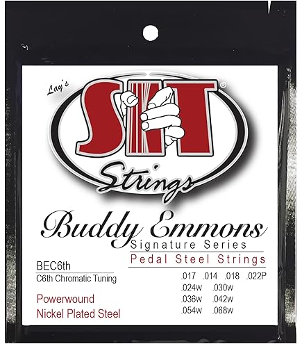 邦楽 Six Steel Strings Save You. C96】Six Steel Strings Save You. -ギターロックコンピ- XFD