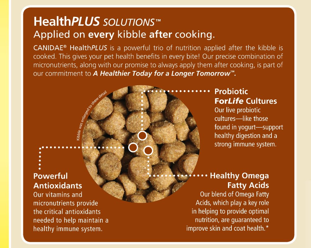 Best Dog Food for Labs 2020 [These Are TopNotch!] Nolonger Wild