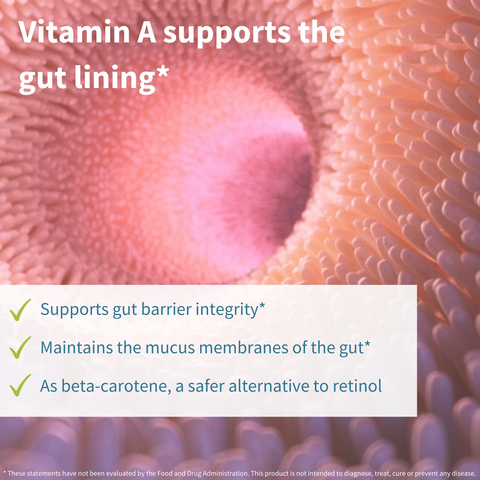 Igennus Probiotics & Prebiotic, Lactobacillus Acidophilus & Bifidobacterium, Gut Health Support, Live Cultures+ Lab4, Guaranteed 25 Billion CFU, for Women & Men, Non-Bloating, Non-GMO, 30 Capsules