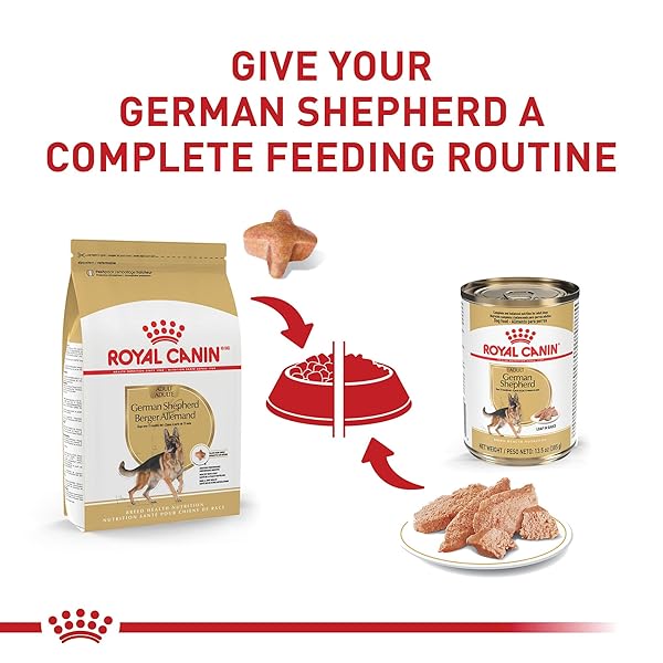 ROYAL CANIN BREED HEALTH NUTRITION GERMAN SHEPHERD ADULT LOAF IN SAUCE DOG FOOD, 13.5 OZ (PACK OF 12)
