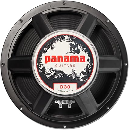 12 inch 80 watt speaker