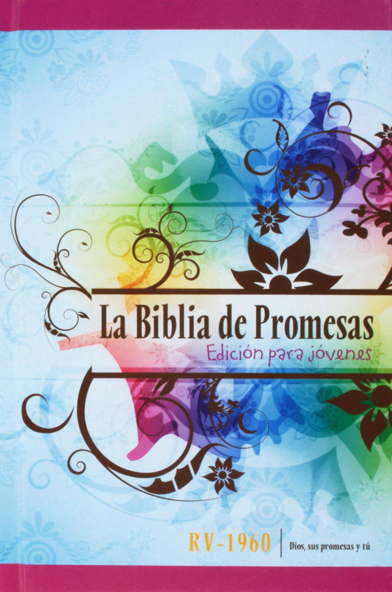 Biblia De Promesas Para Mujeres Jovenes Rv1960 Spanish Edition Reina Valera 1960 Amazon Com Books