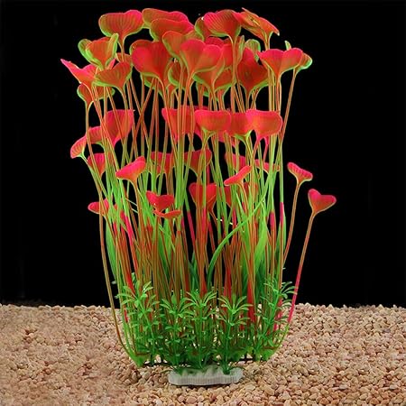 plastic fish tanks for sale