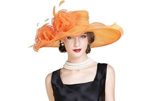 YIDINGCO 2025 Kentucky Derby Hat for Women Ladies, Organza Veil Feather Fascinator for Tea Party Church UV Protection Sun Hat