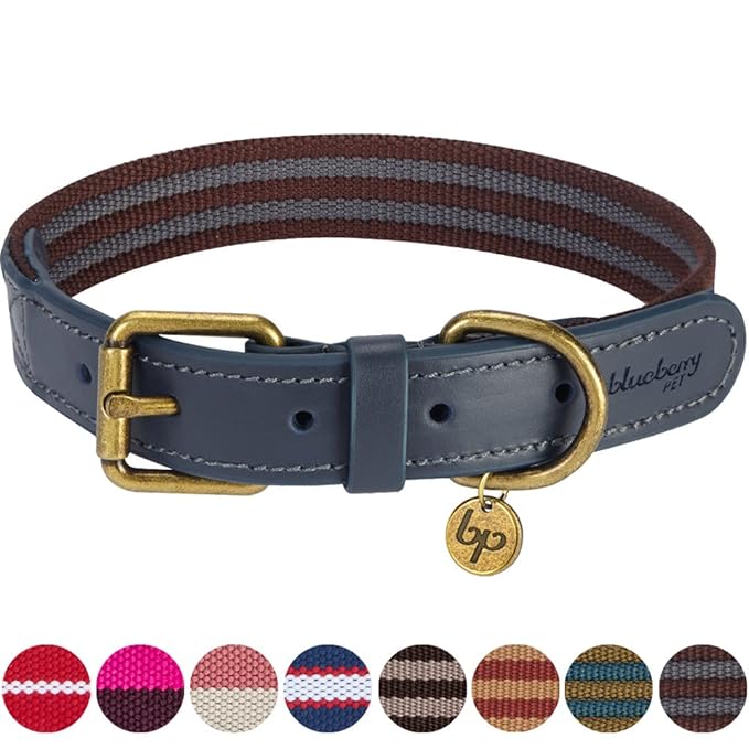 Blueberry Pet Klassisches Gestreiftes Basis Echtleder Hundehalsband