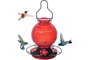 AUBINGMOTOR Glass Hummingbird Feeders for Outdoors Hanging, 23Oz Humming Bird Nectar Feeders with Perch, 5 Flower Feeding Ports, Leak Proof Base and Hook for Garden Decor, Gifts for Mom Women (Red)